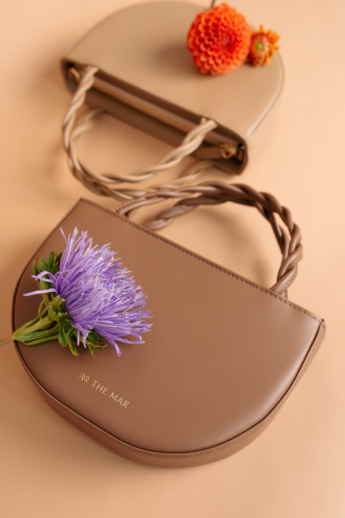 SHELL COCOA - Image 3