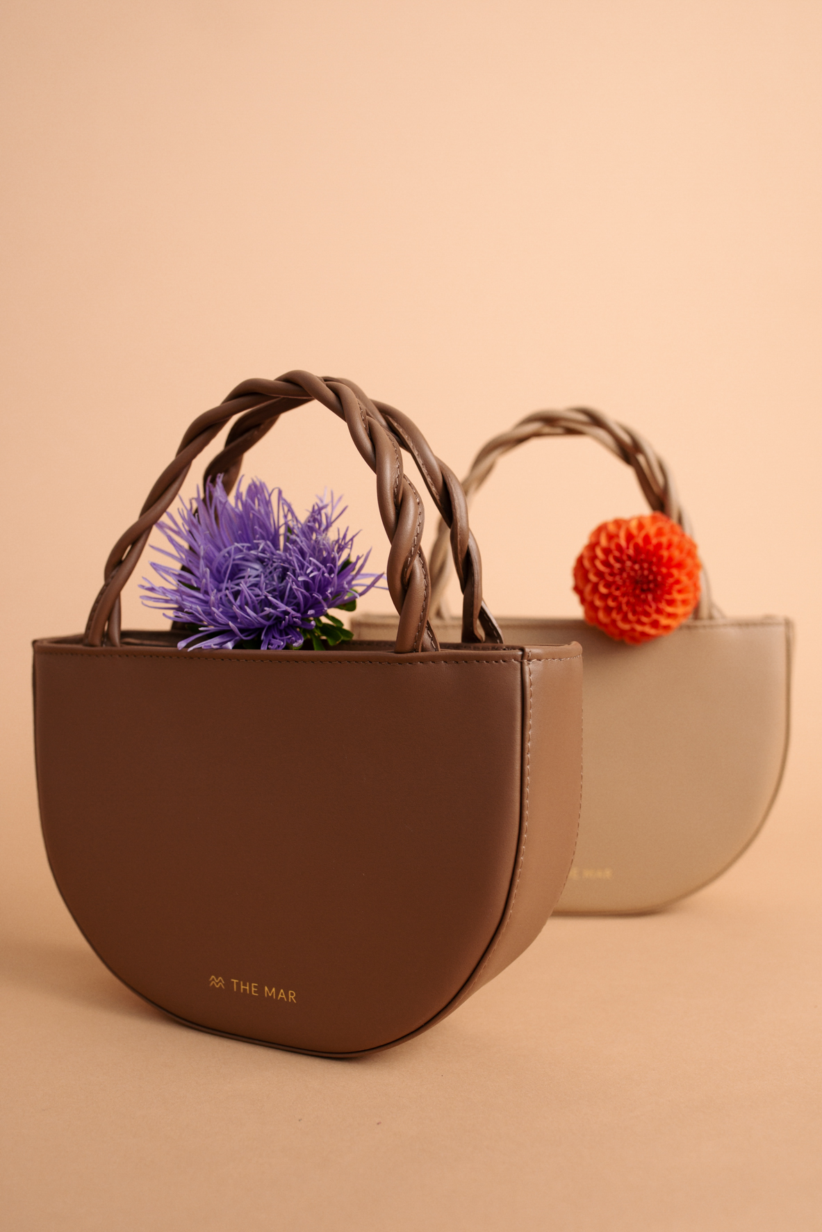 SHELL COCOA - Image 5